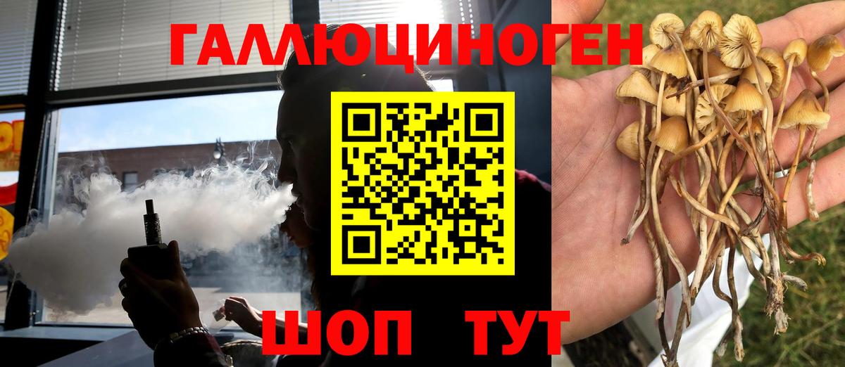 Галлюциногенные грибы мухоморы Казань